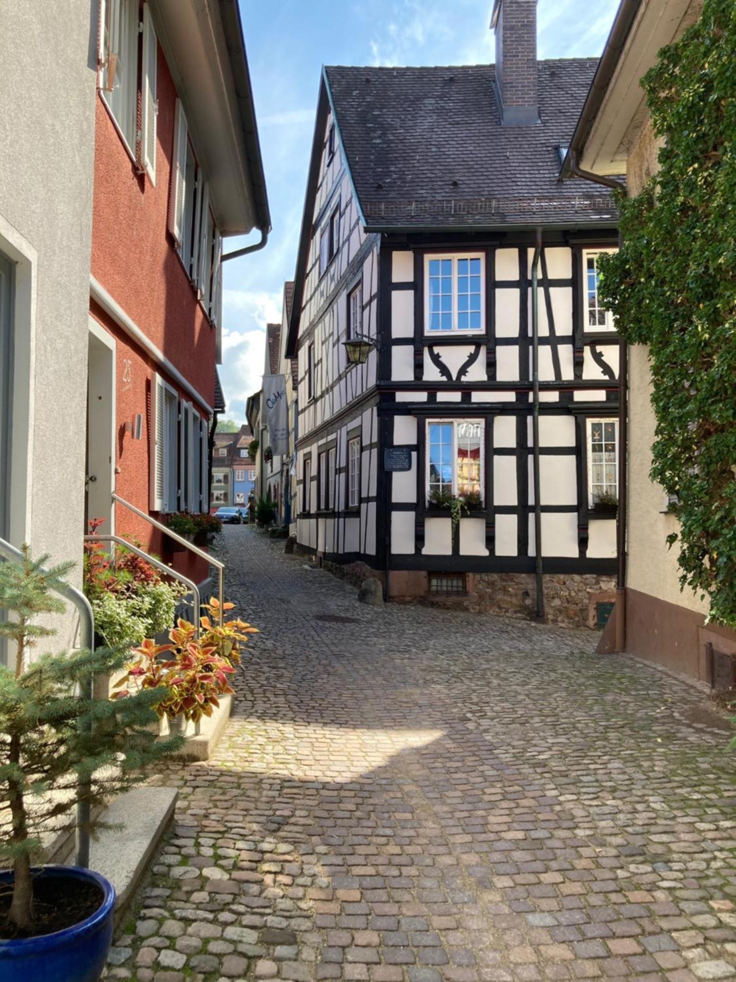 Ferienwohnung Scheffelhaus Gengenbach Ngoại thất bức ảnh
